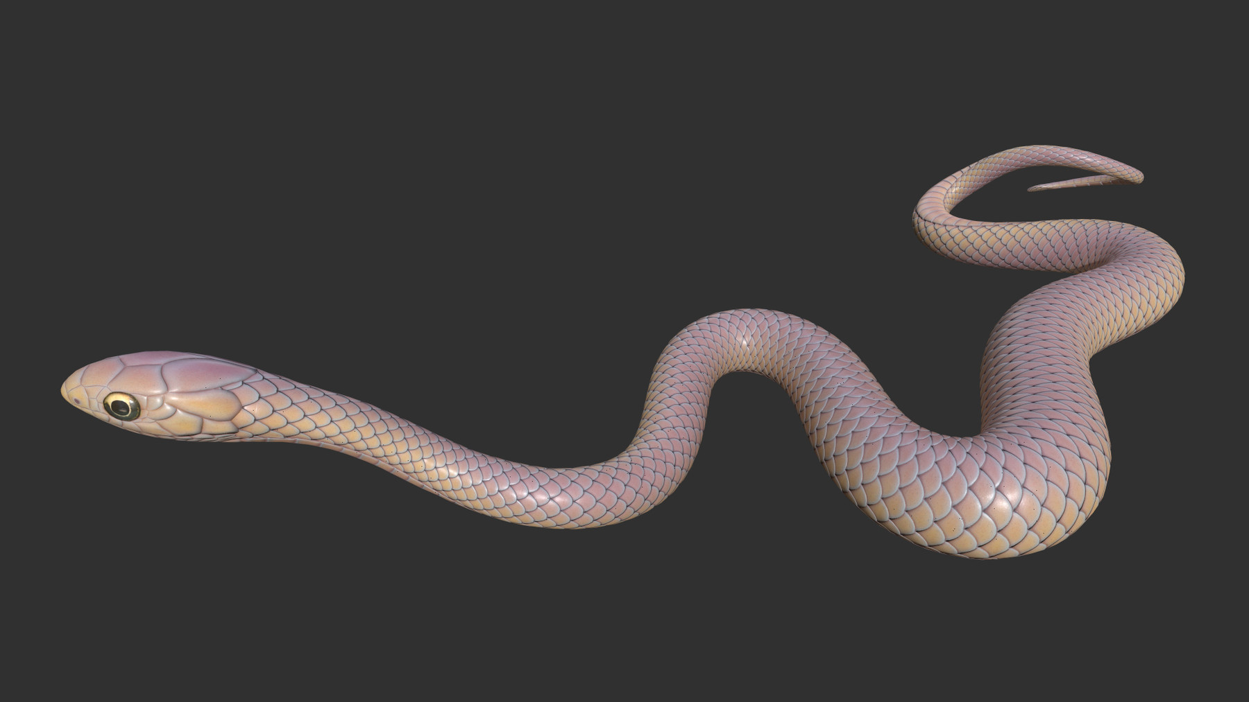 ArtStation - 3D Snake