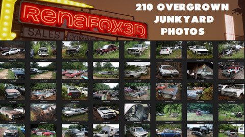 210 Overgrown Junkyard Photos (Reference/Photobash)