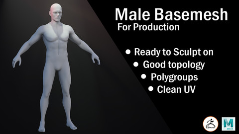 Male Basemesh for production