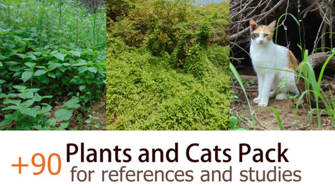 90 Plansts and cats Pack   References and short videos