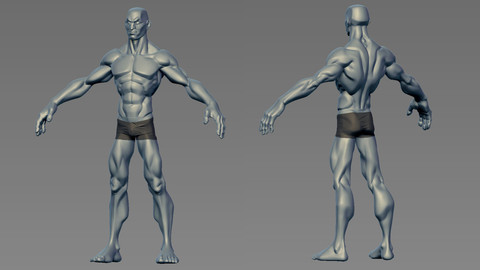 Re-usable male body