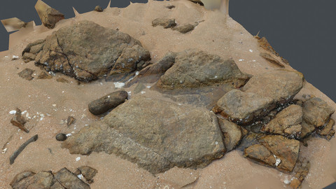 Photoscan_Beach Rock_0043_only HighPoly Mesh (16K Texture)