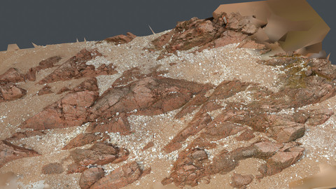 Photoscan_Beach Rock_0047_only HighPoly Mesh (16K Texture)