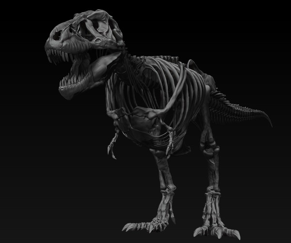 ArtStation - Adult Tyrannosaurus Rex Complete Skeletons - TREX SUE ...