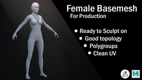 Female Basemesh for production