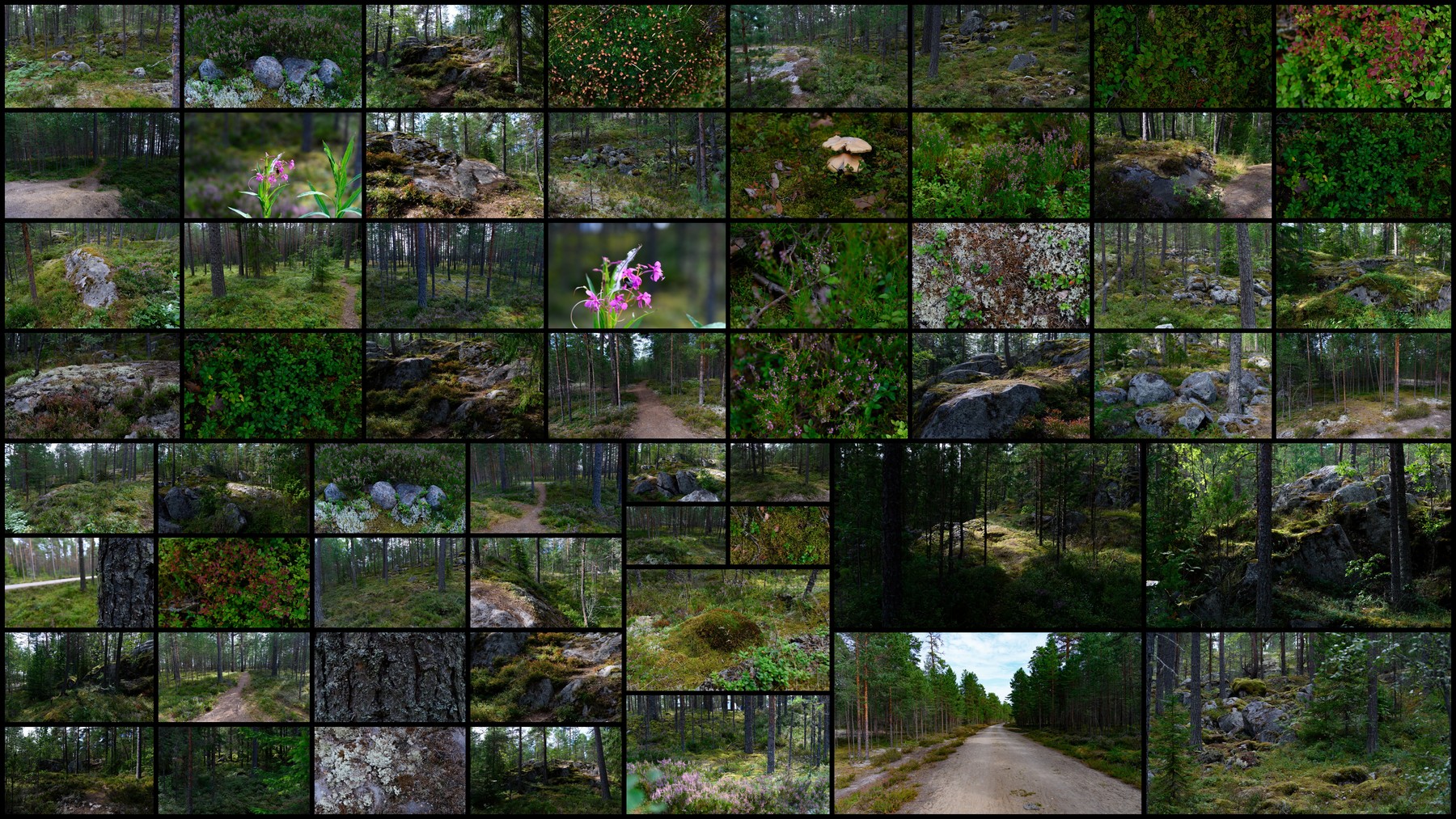 ArtStation - Northern Nature Plants Lake And Waterfall Reference ...