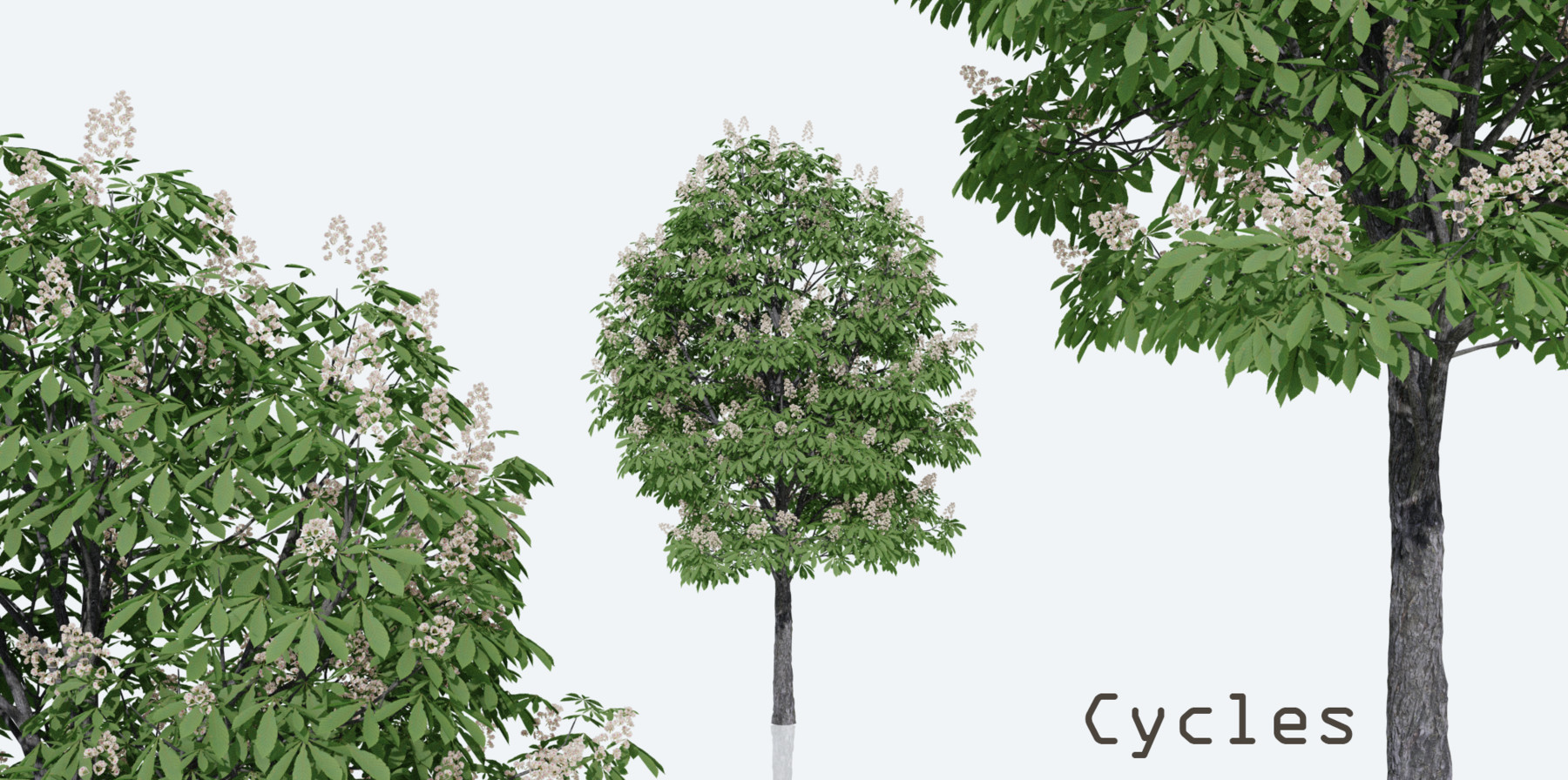 ArtStation Horse Chestnut Trees Resources artstation-horse-chestnut-trees-resources