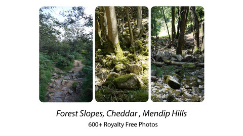 Cheddar Forest Slopes
