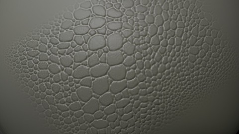 32 skin and scale alphas