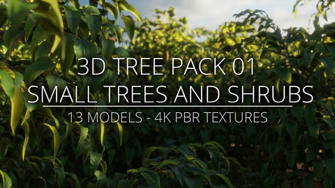 3D Tree Pack 01 - Small Trees and Shrubs