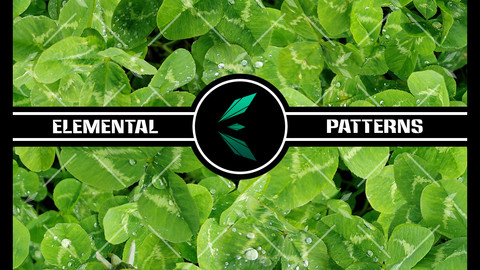 Clovers Seamless Texture