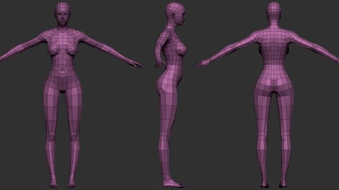 Female Topology for Animation and Base Meshes