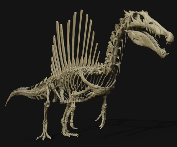 ArtStation - Spinosaurus Full Skeleton Sculpt Model | Game Assets