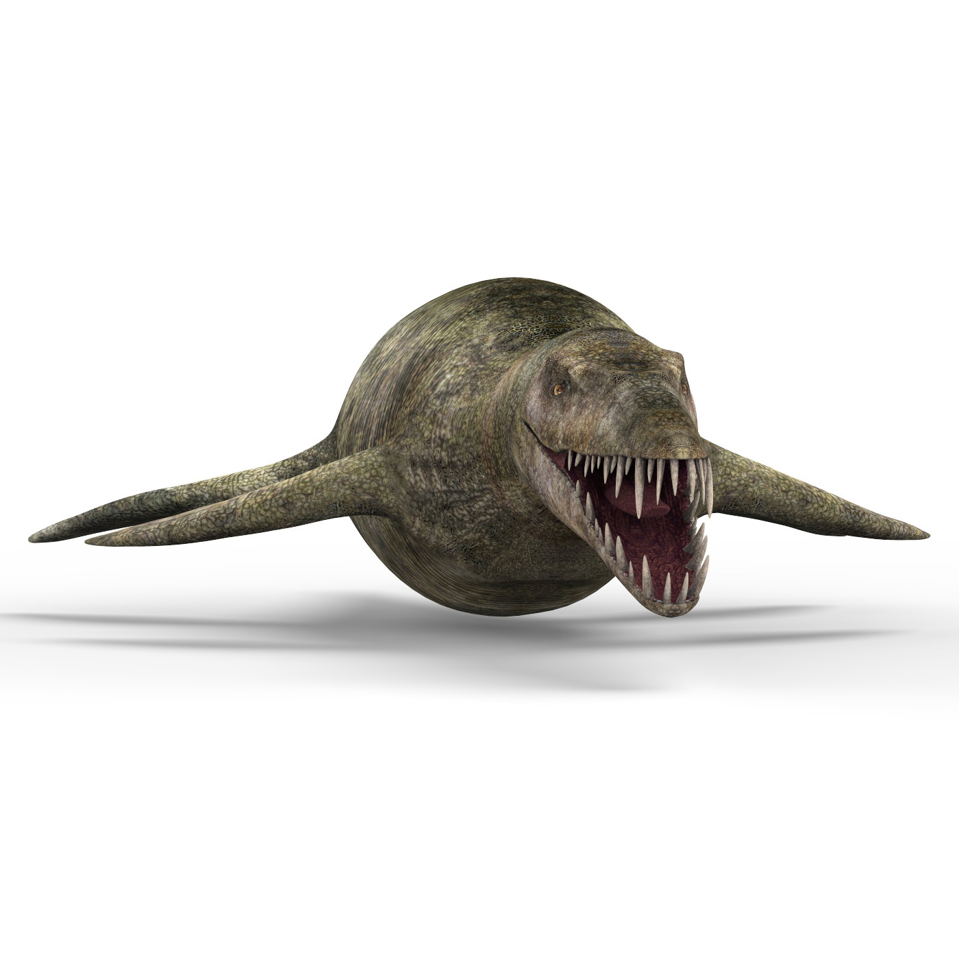 liopleurodon tooth