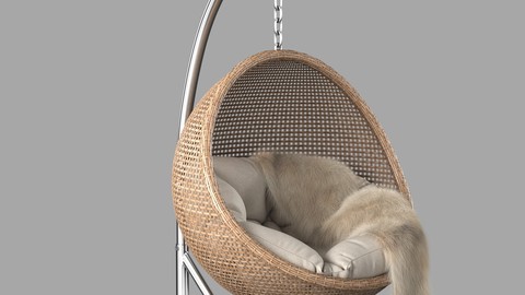 Rattan Hanging Chair