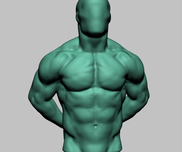 ArtStation - Male Torso 04 | Resources