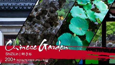 Chinese Garden - Shi Zi Lin | 狮子林