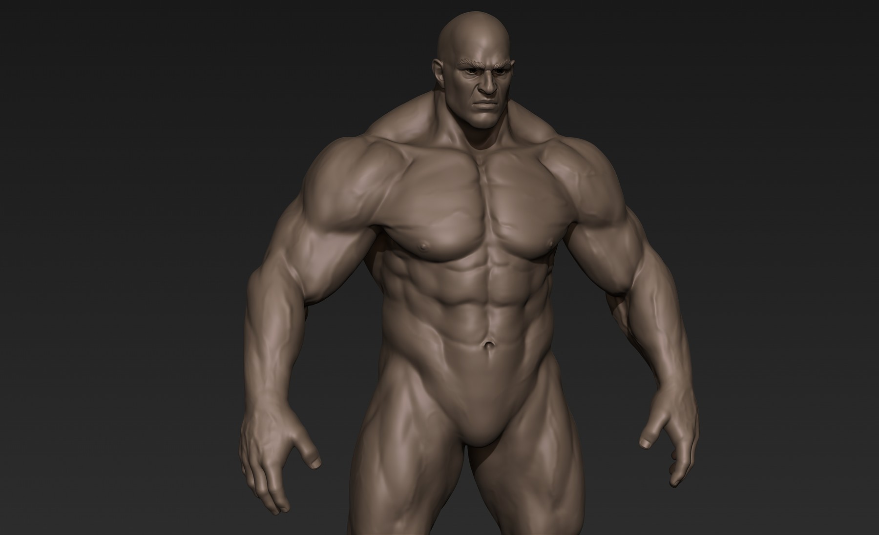 【人体模型】KIKKERLAND 3D MUSCLE MAN 人体模型】KIKKERLAND 3D MUSCLE MAN 人体模型】KIKKERLAND 3D