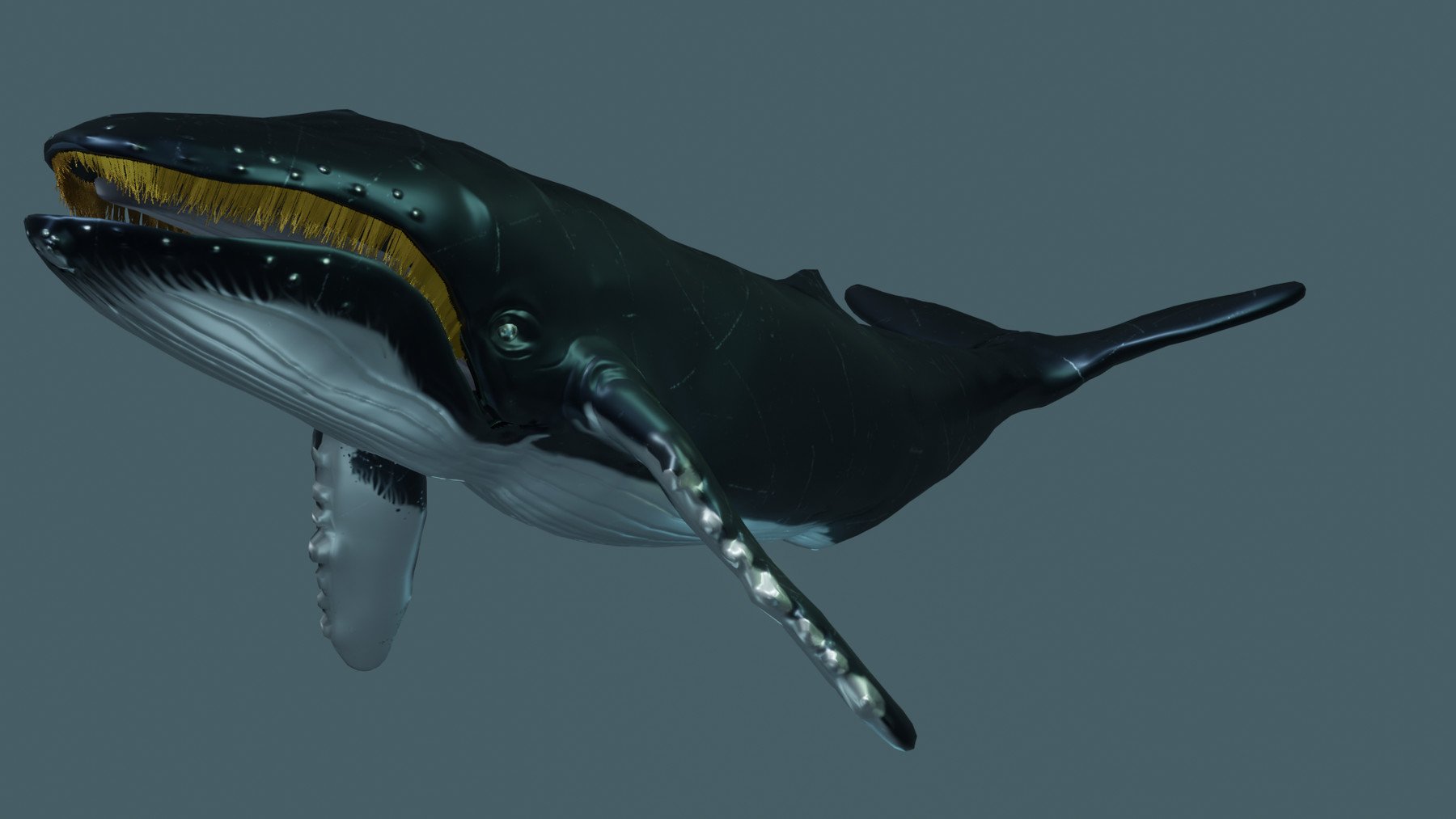 ArtStation - Humpback Whale | Game Assets