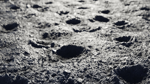 HIGH QUALITY Texture Pack 100% SUBSTANCE DESIGNER