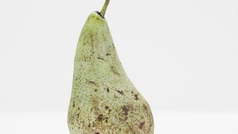 Pear - 3D Scanned Model