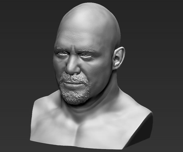 ArtStation - Stone Cold Steve Austin bust 3D printing ready stl obj ...