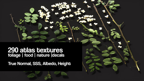 Huge atlas pack 2 | 290 textures | 34 Items