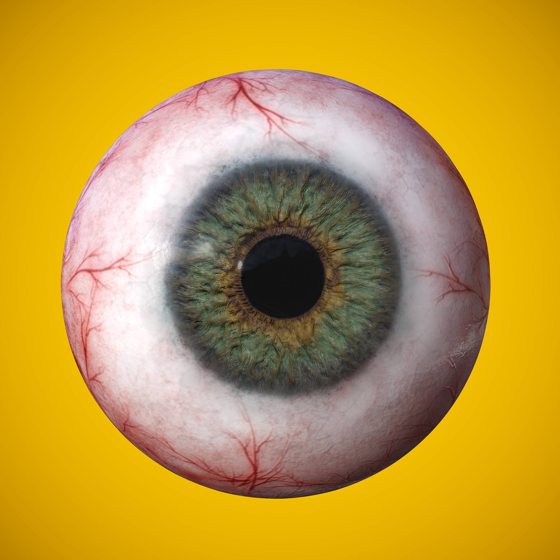 ArtStation - Eye anatomy photorealistic eyeball | Resources