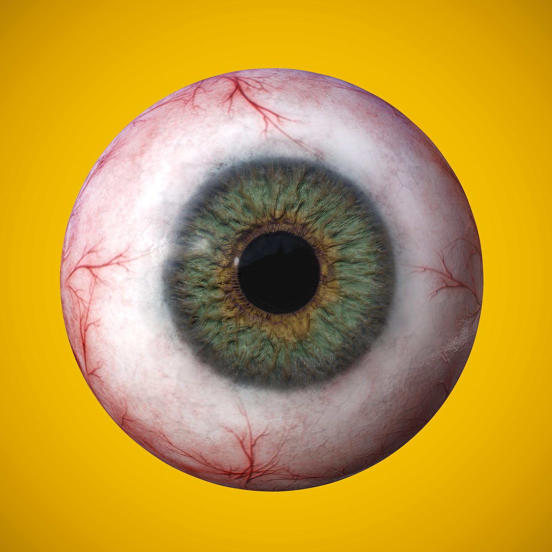 ArtStation Eye Anatomy Photorealistic Eyeball Resources