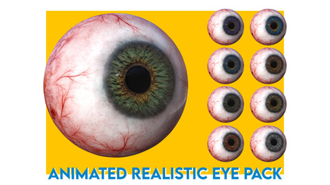 Eye anatomy photorealistic eyeball