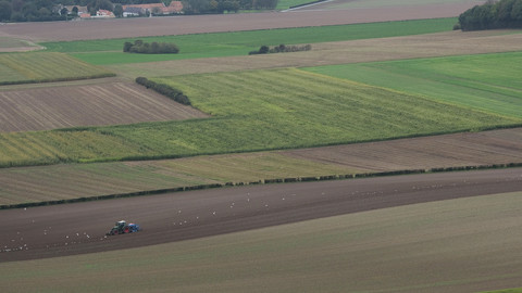 Fields CREATIVE PACK