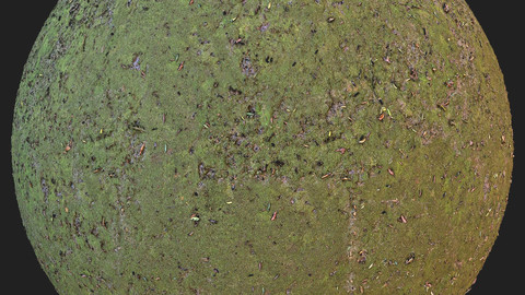 Mossy Ground pbr Material