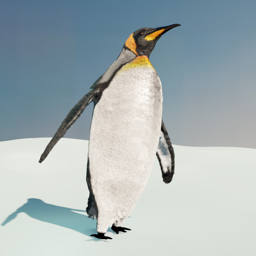 пингвин 3 5. императорский пингвин по сравнению с человеком рисунки. пингвин 3д. пингвин модель. пингвин 3d модель.