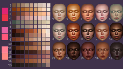Skin Tones Palette 4 for Clip Studio Paint and Ex
