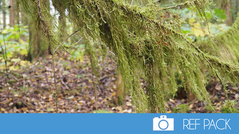 Ref pack 005 - Nature 02