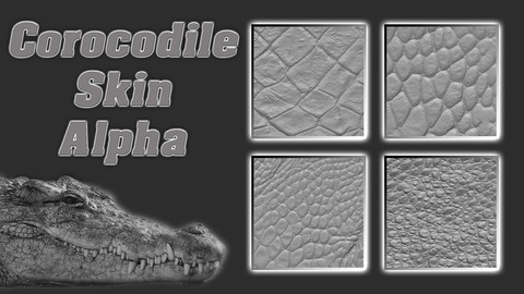 Corcodile Scale and Skin Alpha