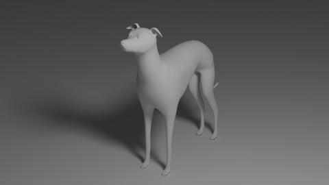 Greyhound 3d Model