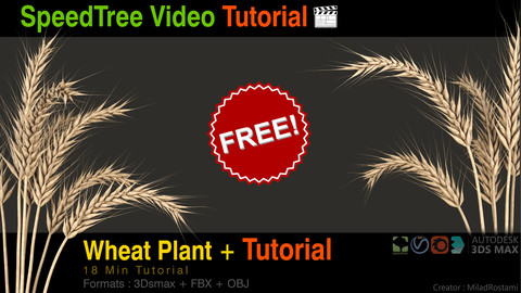 Wheat plant + Modeling Tutorial