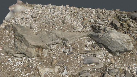 Photoscan_Beach Rock_0073_only HighPoly Mesh (16K Texture)