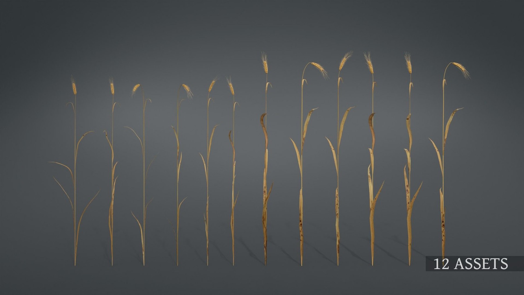 Artstation 3d Wheat Field Collection Vol01 Resources