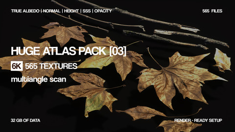 Huge 6K atlas pack | 565 textures| 16 bit  Photogrammetry