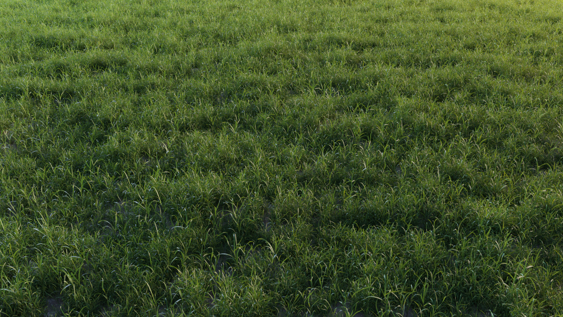 Artstation 3d Grass Collection Vol01 Resources