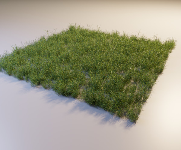 ArtStation - 3D Grass Collection vol01 | Resources