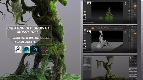 Creating Old Growth Mossy Tree: Tutorial and Game Assets