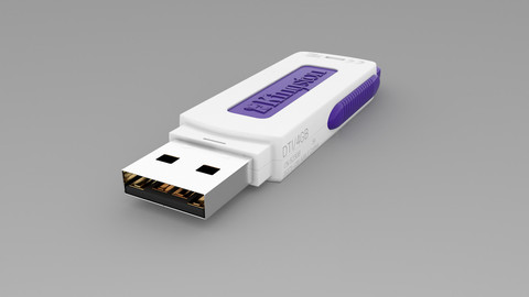 Kingston Data Traveller