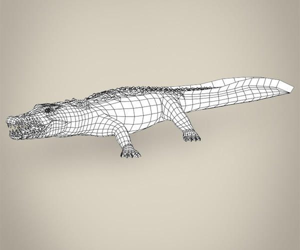 ArtStation - Low Poly Crocodile 3D Model | Game Assets