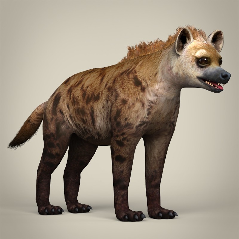 ArtStation - Low Poly Hyena 3D Model | Game Assets