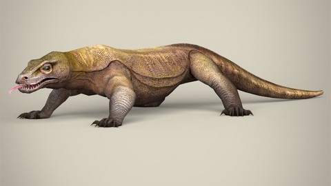 Low Poly Komodo Dragon 3D Model