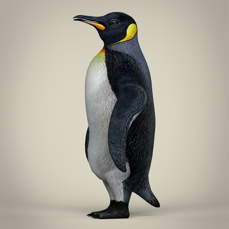 ArtStation - Low Poly Penguin 3D Model | Game Assets