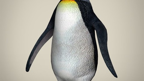 Low Poly Penguin 3D Model